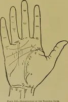 An illustration from A manual of cheirosophy : being a complete practical handbook of the twin sciences of cheirognomy and cheiromancy, by means whereof the past, the present, and the future may be read in the formations of the hands ; preceded by an introductory argument upon the science of cheirosophy and its claims to rank as a physical science / by Ed. Heron-Allen ... with full-page and other illustrations by Rosamund Brunel Horsley. (1892)