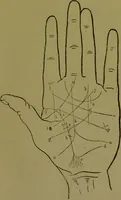 An illustration from A manual of cheirosophy : being a complete practical handbook of the twin sciences of cheirognomy and cheiromancy, by means whereof the past, the present, and the future may be read in the formations of the hands ; preceded by an introductory argument upon the science of cheirosophy and its claims to rank as a physical science / by Ed. Heron-Allen ... with full-page and other illustrations by Rosamund Brunel Horsley. (1892)
