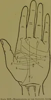 An illustration from A manual of cheirosophy : being a complete practical handbook of the twin sciences of cheirognomy and cheiromancy, by means whereof the past, the present, and the future may be read in the formations of the hands ; preceded by an introductory argument upon the science of cheirosophy and its claims to rank as a physical science / by Ed. Heron-Allen ... with full-page and other illustrations by Rosamund Brunel Horsley. (1892)