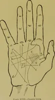 An illustration from A manual of cheirosophy : being a complete practical handbook of the twin sciences of cheirognomy and cheiromancy, by means whereof the past, the present, and the future may be read in the formations of the hands ; preceded by an introductory argument upon the science of cheirosophy and its claims to rank as a physical science / by Ed. Heron-Allen ... with full-page and other illustrations by Rosamund Brunel Horsley. (1892)