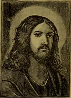 Picture 69 of 138 from Faces we meet, and, how to read them / by R.B.D. Wells. (1880), leaf 118
