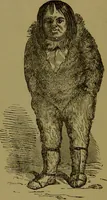 Picture 97 of 138 from Faces we meet, and, how to read them / by R.B.D. Wells. (1880), leaf 186