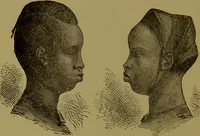 An illustration from Faces we meet, and, how to read them / by R.B.D. Wells. (1880)