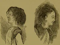 An illustration from Faces we meet, and, how to read them / by R.B.D. Wells. (1880)