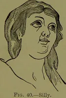 Picture 30 of 138 from Faces we meet, and, how to read them / by R.B.D. Wells. (1880), leaf 61