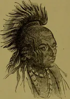 An illustration from Faces we meet, and, how to read them / by R.B.D. Wells. (1880)