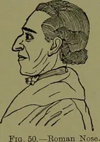 Picture 39 of 138 from Faces we meet, and, how to read them / by R.B.D. Wells. (1880), leaf 75