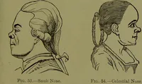 Picture 41 of 138 from Faces we meet, and, how to read them / by R.B.D. Wells. (1880), leaf 77