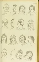 An illustration from Essays on physiognomy : designed to promote the knowledge and the love of mankind / written in the German language by John Caspar Lavater ; and translated into English by Thomas Holcroft ; to which are added one hundred physiognomonical rules, a posthumous work by Mr. Lavater and Memoirs of the life of the author. (1855)