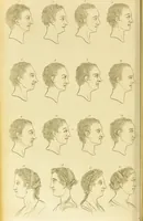 An illustration from Essays on physiognomy : designed to promote the knowledge and the love of mankind / written in the German language by John Caspar Lavater ; and translated into English by Thomas Holcroft ; to which are added one hundred physiognomonical rules, a posthumous work by Mr. Lavater and Memoirs of the life of the author. (1855)