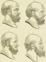 Picture 18 of 72 from Essays on physiognomy : designed to promote the knowledge and the love of mankind / written in the German language by John Caspar Lavater ; and translated into English by Thomas Holcroft ; to which are added one hundred physiognomonical rules, a posthumous work by Mr. Lavater and Memoirs of the life of the author. (1855), leaf 289
