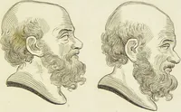 An illustration from Essays on physiognomy : designed to promote the knowledge and the love of mankind / written in the German language by John Caspar Lavater ; and translated into English by Thomas Holcroft ; to which are added one hundred physiognomonical rules, a posthumous work by Mr. Lavater and Memoirs of the life of the author. (1855)