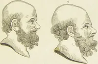 An illustration from Essays on physiognomy : designed to promote the knowledge and the love of mankind / written in the German language by John Caspar Lavater ; and translated into English by Thomas Holcroft ; to which are added one hundred physiognomonical rules, a posthumous work by Mr. Lavater and Memoirs of the life of the author. (1855)