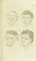 Picture 30 of 72 from Essays on physiognomy : designed to promote the knowledge and the love of mankind / written in the German language by John Caspar Lavater ; and translated into English by Thomas Holcroft ; to which are added one hundred physiognomonical rules, a posthumous work by Mr. Lavater and Memoirs of the life of the author. (1855), leaf 399
