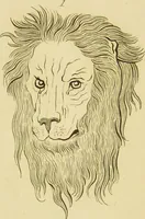 Picture 36 of 72 from Essays on physiognomy : designed to promote the knowledge and the love of mankind / written in the German language by John Caspar Lavater ; and translated into English by Thomas Holcroft ; to which are added one hundred physiognomonical rules, a posthumous work by Mr. Lavater and Memoirs of the life of the author. (1855), leaf 416