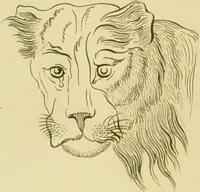 An illustration from Essays on physiognomy : designed to promote the knowledge and the love of mankind / written in the German language by John Caspar Lavater ; and translated into English by Thomas Holcroft ; to which are added one hundred physiognomonical rules, a posthumous work by Mr. Lavater and Memoirs of the life of the author. (1855)