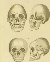 Picture 42 of 72 from Essays on physiognomy : designed to promote the knowledge and the love of mankind / written in the German language by John Caspar Lavater ; and translated into English by Thomas Holcroft ; to which are added one hundred physiognomonical rules, a posthumous work by Mr. Lavater and Memoirs of the life of the author. (1855), leaf 454