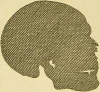 Picture 45 of 72 from Essays on physiognomy : designed to promote the knowledge and the love of mankind / written in the German language by John Caspar Lavater ; and translated into English by Thomas Holcroft ; to which are added one hundred physiognomonical rules, a posthumous work by Mr. Lavater and Memoirs of the life of the author. (1855), leaf 468