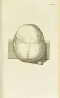 Picture 46 of 72 from Essays on physiognomy : designed to promote the knowledge and the love of mankind / written in the German language by John Caspar Lavater ; and translated into English by Thomas Holcroft ; to which are added one hundred physiognomonical rules, a posthumous work by Mr. Lavater and Memoirs of the life of the author. (1855), leaf 473