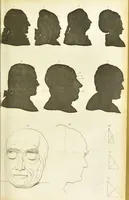 An illustration from Essays on physiognomy : designed to promote the knowledge and the love of mankind / written in the German language by John Caspar Lavater ; and translated into English by Thomas Holcroft ; to which are added one hundred physiognomonical rules, a posthumous work by Mr. Lavater and Memoirs of the life of the author. (1855)