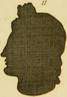 An illustration from Essays on physiognomy : designed to promote the knowledge and the love of mankind / written in the German language by John Caspar Lavater ; and translated into English by Thomas Holcroft ; to which are added one hundred physiognomonical rules, a posthumous work by Mr. Lavater and Memoirs of the life of the author. (1855)
