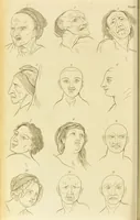 An illustration from Essays on physiognomy : designed to promote the knowledge and the love of mankind / written in the German language by John Caspar Lavater ; and translated into English by Thomas Holcroft ; to which are added one hundred physiognomonical rules, a posthumous work by Mr. Lavater and Memoirs of the life of the author. (1855)