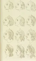 An illustration from Essays on physiognomy : designed to promote the knowledge and the love of mankind / written in the German language by John Caspar Lavater ; and translated into English by Thomas Holcroft ; to which are added one hundred physiognomonical rules, a posthumous work by Mr. Lavater and Memoirs of the life of the author. (1855)