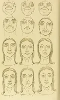 An illustration from Essays on physiognomy : designed to promote the knowledge and the love of mankind / written in the German language by John Caspar Lavater ; and translated into English by Thomas Holcroft ; to which are added one hundred physiognomonical rules, a posthumous work by Mr. Lavater and Memoirs of the life of the author. (1855)