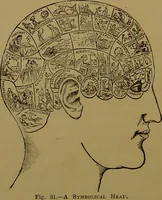 Picture 26 of 38 from The revised twentieth-century phrenology : embracing a new seven-fold classification of the temperaments, a uniform and complete nomenclature of the centres, re-grouping of the centres, new illustrations, new discoveries / by John William Taylor. (1901), leaf 104
