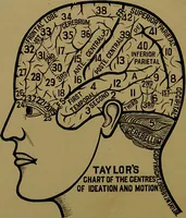 Picture 28 of 38 from The revised twentieth-century phrenology : embracing a new seven-fold classification of the temperaments, a uniform and complete nomenclature of the centres, re-grouping of the centres, new illustrations, new discoveries / by John William Taylor. (1901), leaf 120