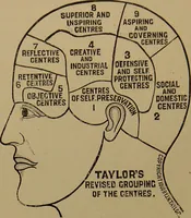 Picture 31 of 38 from The revised twentieth-century phrenology : embracing a new seven-fold classification of the temperaments, a uniform and complete nomenclature of the centres, re-grouping of the centres, new illustrations, new discoveries / by John William Taylor. (1901), leaf 134