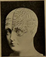 An illustration from The revised twentieth-century phrenology : embracing a new seven-fold classification of the temperaments, a uniform and complete nomenclature of the centres, re-grouping of the centres, new illustrations, new discoveries / by John William Taylor. (1901)