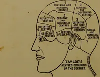 Picture 4 of 38 from The revised twentieth-century phrenology : embracing a new seven-fold classification of the temperaments, a uniform and complete nomenclature of the centres, re-grouping of the centres, new illustrations, new discoveries / by John William Taylor. (1901), leaf 24