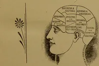 An illustration from The revised twentieth-century phrenology : embracing a new seven-fold classification of the temperaments, a uniform and complete nomenclature of the centres, re-grouping of the centres, new illustrations, new discoveries / by John William Taylor. (1901)