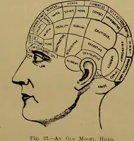 An illustration from The revised twentieth-century phrenology : embracing a new seven-fold classification of the temperaments, a uniform and complete nomenclature of the centres, re-grouping of the centres, new illustrations, new discoveries / by John William Taylor. (1901)