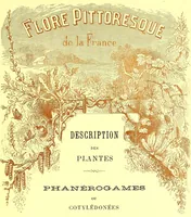 Picture 79 of 757 from Flore pittoresque de la France : anatomie, physiologie, classification, description des plantes indigènes et cultivées au point de vue de l'agriculture, de l'horticulture et de la sylviculture / publiée sous la direction de J. Rothschild. (1885), leaf 103