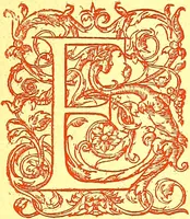Picture 8 of 757 from Flore pittoresque de la France : anatomie, physiologie, classification, description des plantes indigènes et cultivées au point de vue de l'agriculture, de l'horticulture et de la sylviculture / publiée sous la direction de J. Rothschild. (1885), leaf 17