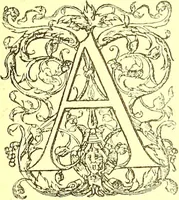 An illustration from Flore pittoresque de la France : anatomie, physiologie, classification, description des plantes indigènes et cultivées au point de vue de l'agriculture, de l'horticulture et de la sylviculture / publiée sous la direction de J. Rothschild. (1885)