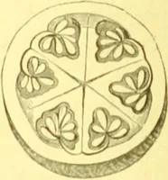 Picture 63 of 757 from Flore pittoresque de la France : anatomie, physiologie, classification, description des plantes indigènes et cultivées au point de vue de l'agriculture, de l'horticulture et de la sylviculture / publiée sous la direction de J. Rothschild. (1885), leaf 52