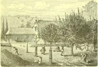 An illustration from Flore pittoresque de la France : anatomie, physiologie, classification, description des plantes indigènes et cultivées au point de vue de l'agriculture, de l'horticulture et de la sylviculture / publiée sous la direction de J. Rothschild. (1885)