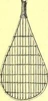 An illustration from Flore pittoresque de la France : anatomie, physiologie, classification, description des plantes indigènes et cultivées au point de vue de l'agriculture, de l'horticulture et de la sylviculture / publiée sous la direction de J. Rothschild. (1885)