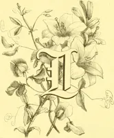 Picture 68 of 757 from Flore pittoresque de la France : anatomie, physiologie, classification, description des plantes indigènes et cultivées au point de vue de l'agriculture, de l'horticulture et de la sylviculture / publiée sous la direction de J. Rothschild. (1885), leaf 54