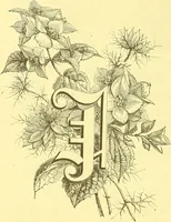 An illustration from Flore pittoresque de la France : anatomie, physiologie, classification, description des plantes indigènes et cultivées au point de vue de l'agriculture, de l'horticulture et de la sylviculture / publiée sous la direction de J. Rothschild. (1885)