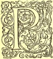 An illustration from Flore pittoresque de la France : anatomie, physiologie, classification, description des plantes indigènes et cultivées au point de vue de l'agriculture, de l'horticulture et de la sylviculture / publiée sous la direction de J. Rothschild. (1885)