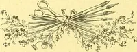 An illustration from Flore pittoresque de la France : anatomie, physiologie, classification, description des plantes indigènes et cultivées au point de vue de l'agriculture, de l'horticulture et de la sylviculture / publiée sous la direction de J. Rothschild. (1885)