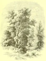 An illustration from Flore pittoresque de la France : anatomie, physiologie, classification, description des plantes indigènes et cultivées au point de vue de l'agriculture, de l'horticulture et de la sylviculture / publiée sous la direction de J. Rothschild. (1885)