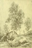 An illustration from Flore pittoresque de la France : anatomie, physiologie, classification, description des plantes indigènes et cultivées au point de vue de l'agriculture, de l'horticulture et de la sylviculture / publiée sous la direction de J. Rothschild. (1885)