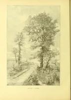 An illustration from Flore pittoresque de la France : anatomie, physiologie, classification, description des plantes indigènes et cultivées au point de vue de l'agriculture, de l'horticulture et de la sylviculture / publiée sous la direction de J. Rothschild. (1885)
