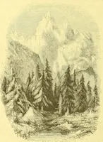 An illustration from Flore pittoresque de la France : anatomie, physiologie, classification, description des plantes indigènes et cultivées au point de vue de l'agriculture, de l'horticulture et de la sylviculture / publiée sous la direction de J. Rothschild. (1885)