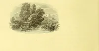 An illustration from Flore pittoresque de la France : anatomie, physiologie, classification, description des plantes indigènes et cultivées au point de vue de l'agriculture, de l'horticulture et de la sylviculture / publiée sous la direction de J. Rothschild. (1885)